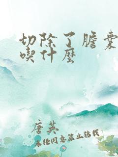 切除了胆囊不能吃什么