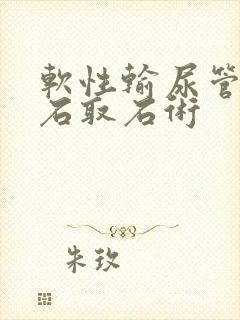 软性输尿管镜碎石取石术