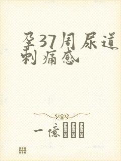 孕37周尿道有刺痛感