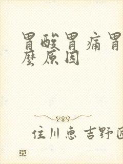 胃酸胃痛胃胀什么原因