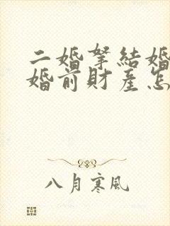 二婚拿结婚证了婚前财产怎么办