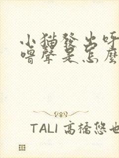 小猫发出呼噜呼噜声是怎么回事?