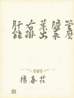 肝右叶胆管结石能排出来么