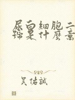 尿白细胞二个加号是什么意思