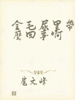 金毛尿里带血怎么回事啊