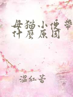 母猫小便带血是什么原因