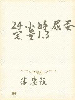 24小时尿蛋白定量1.3