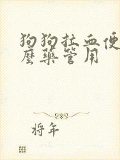 狗狗拉血便吃什么药管用