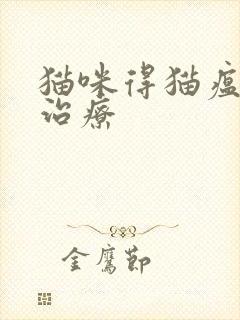 猫咪得猫瘟怎么治疗