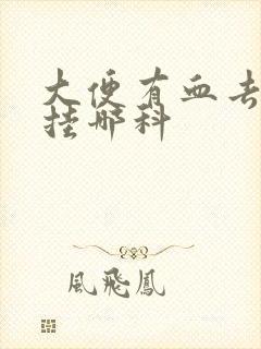 大便有血去医院挂哪科