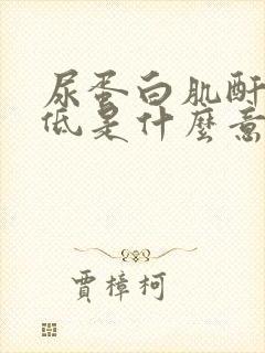 尿蛋白肌酐比值低是什么意思