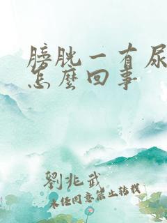 膀胱一有尿就疼怎么回事