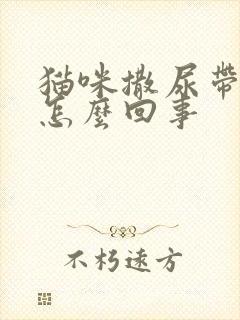 猫咪撒尿带血是怎么回事