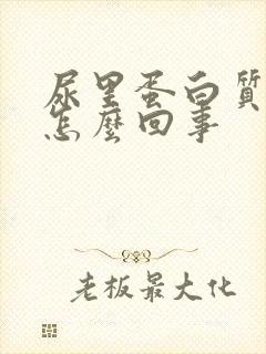 尿里蛋白质高是怎么回事