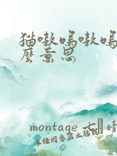 猫嗷呜嗷呜叫什么意思