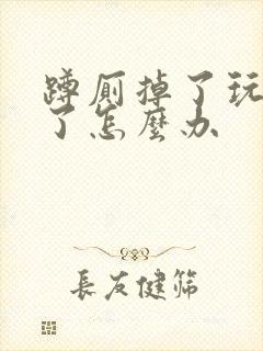 蹲厕掉了玩具堵了怎么办