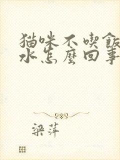 猫咪不吃饭光喝水怎么回事