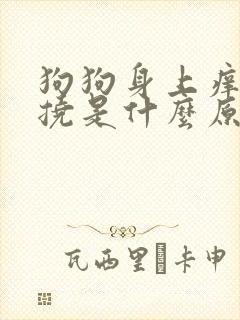 狗狗身上痒一直挠是什么原因