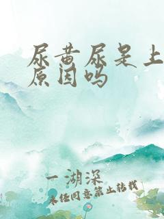 尿黄尿是上火的原因吗