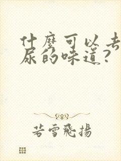 什么可以去除狗尿的味道?