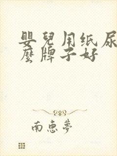 婴儿用纸尿裤什么牌子好