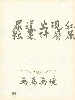 尿道出现红色颗粒是什么原因