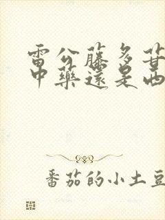 雷公藤多苷片是中药还是西药