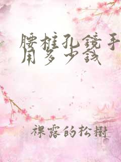 腰椎孔镜手术费用多少钱