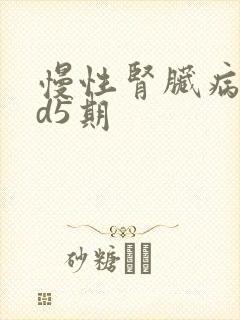 慢性肾脏病ckd5期