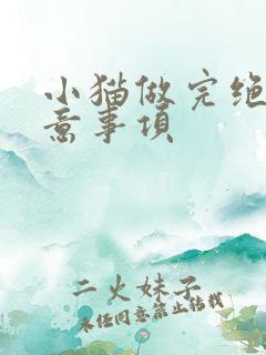 小猫做完绝育注意事项