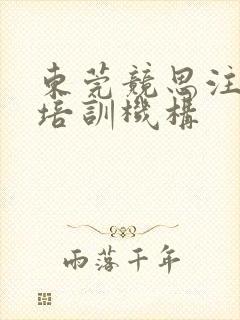 东莞竞思注意力培训机构