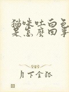 猫咪吐白色液体是怎么回事