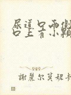 尿道口两侧阴道口上有小颗粒