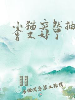 小猫突然抽搐一会又好了