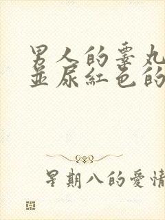 男人的睾丸疼痛并尿红色的尿