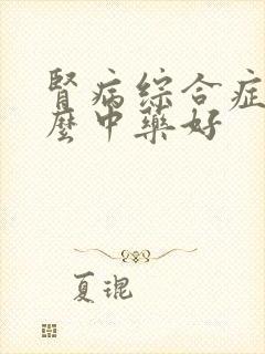 肾病综合症吃什么中药好