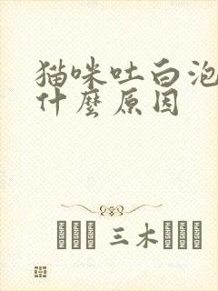 猫咪吐白泡沫是什么原因