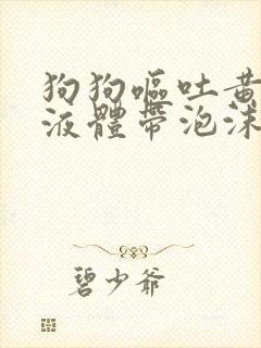 狗狗呕吐黄粘稠液体带泡沫