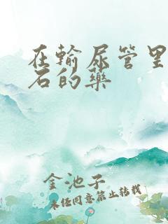 在输尿管里排结石的药