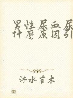 男性尿血尿频是什么原因引起的