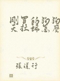 刚买的狗狗第二天拉稀怎么办