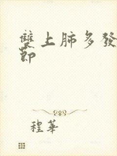 双上肺多发小结节