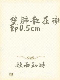 双肺散在微小结节0.5cm