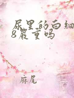 尿里的白细胞38严重吗