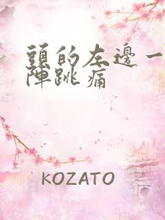 头的左边一阵一阵跳痛