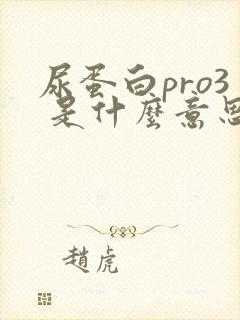 尿蛋白pro3 是什么意思,严重吗