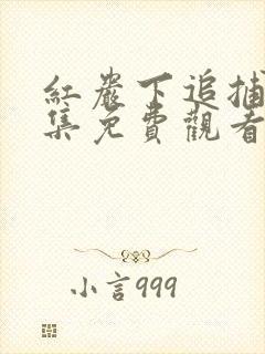 红岩下追捕46集免费观看