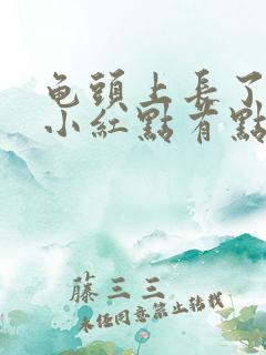 龟头上长了一些小红点有点痒