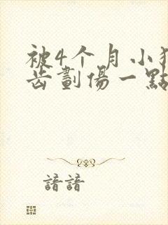 被4个月小狗牙齿划伤一点皮出血有事吗