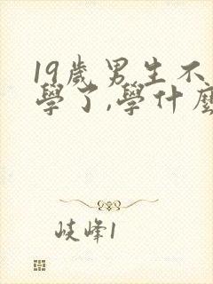 19岁男生不上学了,学什么技术